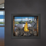 Napoleon High Definition See Thru 81 Fireplace