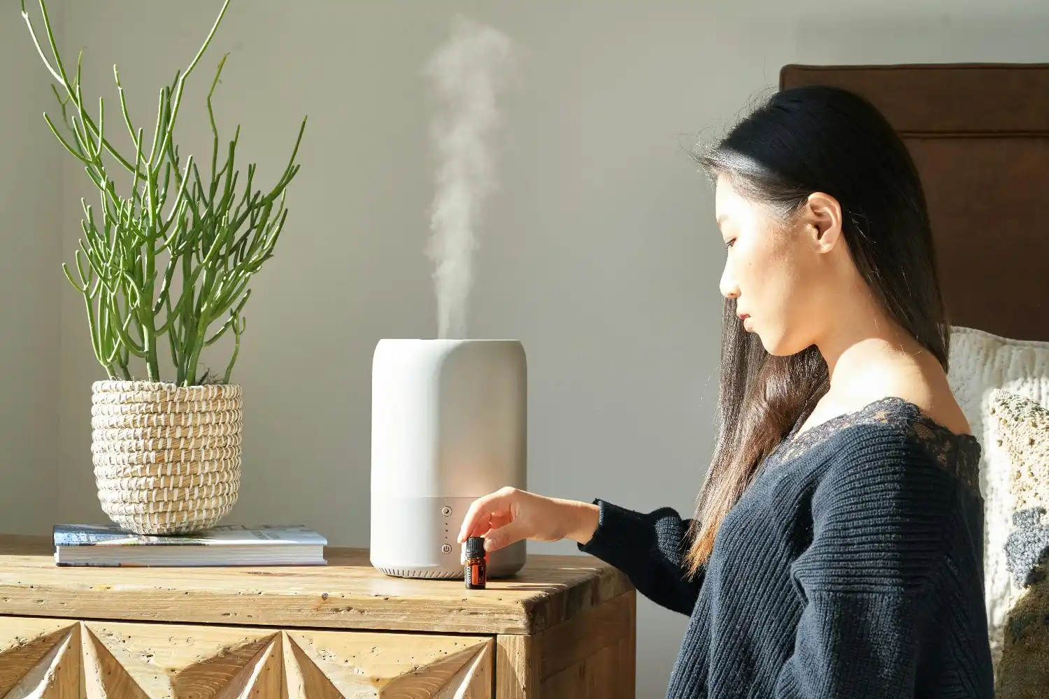 HVAC Humidification Services In Maple Ridge, BC