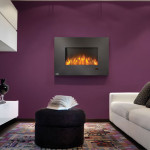 Napoleon Slimline 32 Slimline Convex 32 Fireplace